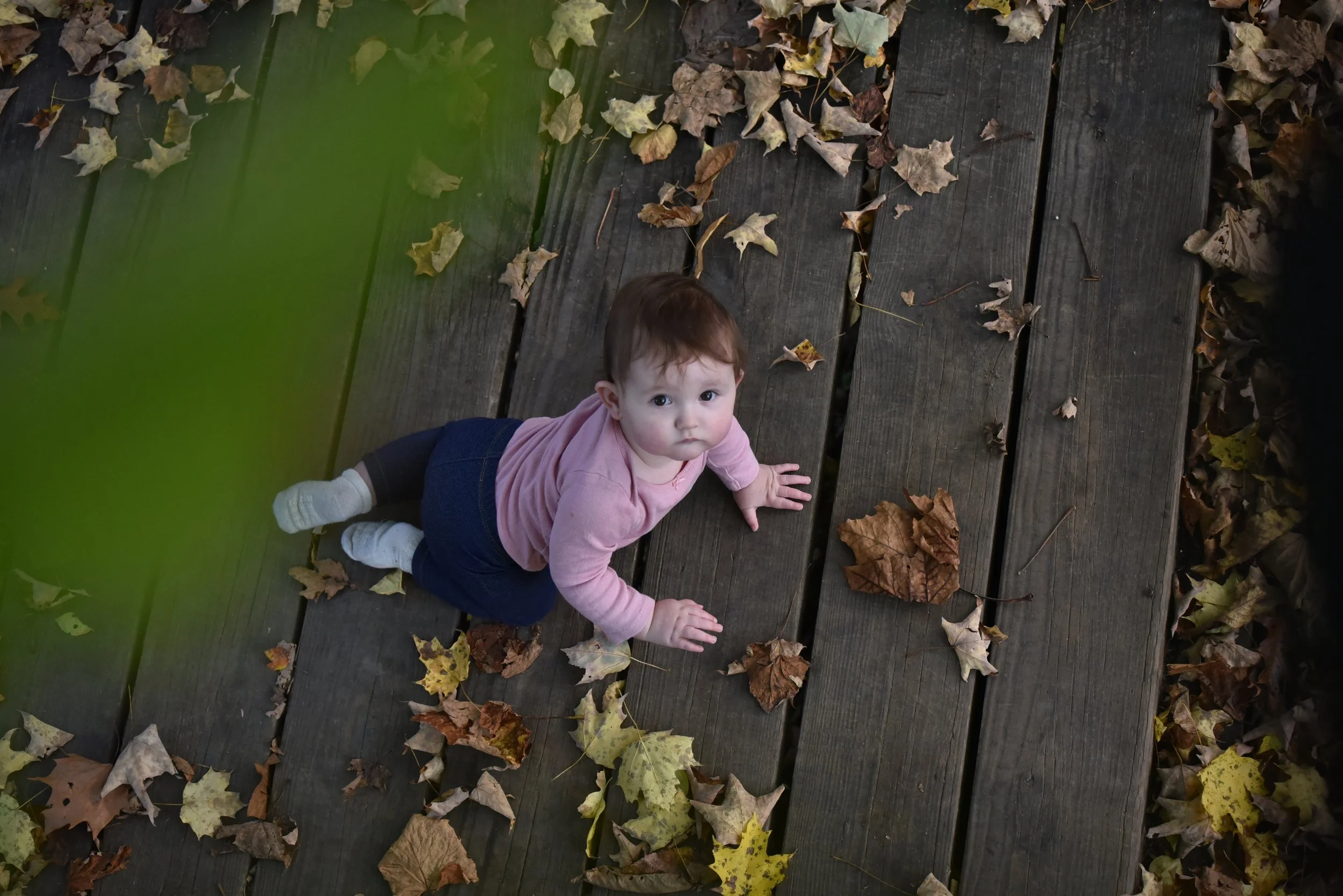 family mini photo session 