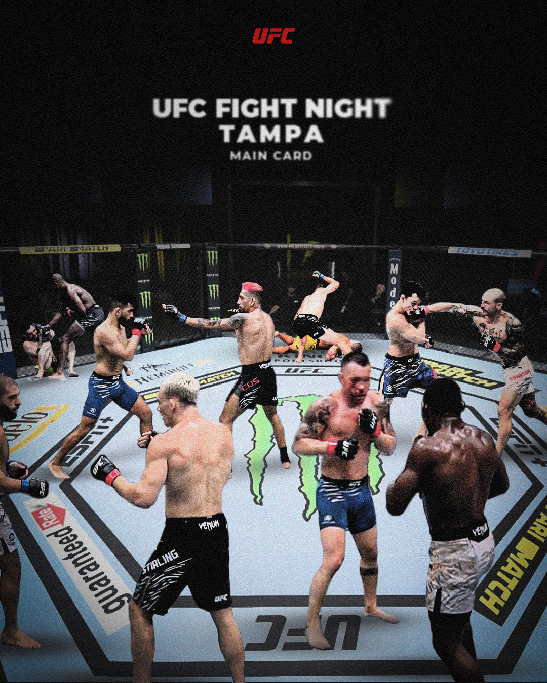 UFC Fight Night.png