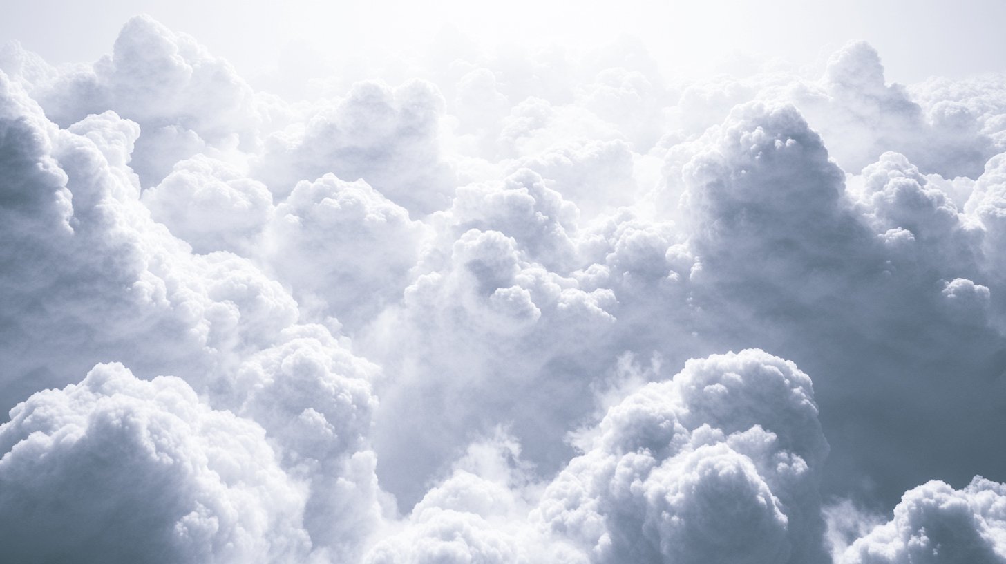 Voluntary Carbon Market: 101