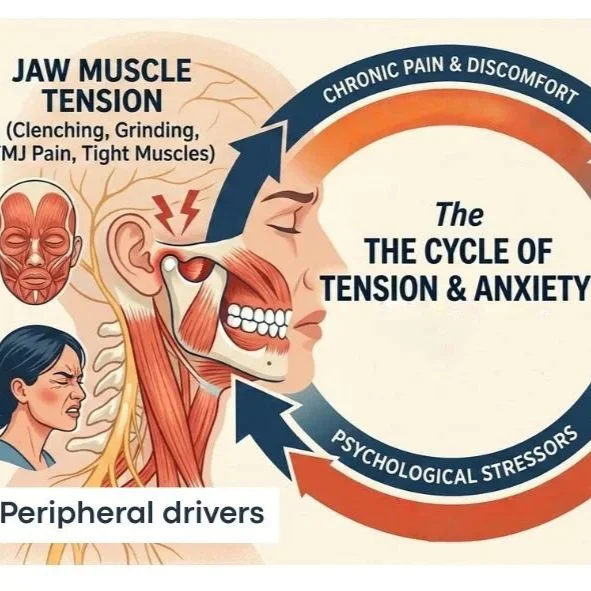 Understanding The Grind: An Osteopathic perspective on managing teeth grinding (bruxism)