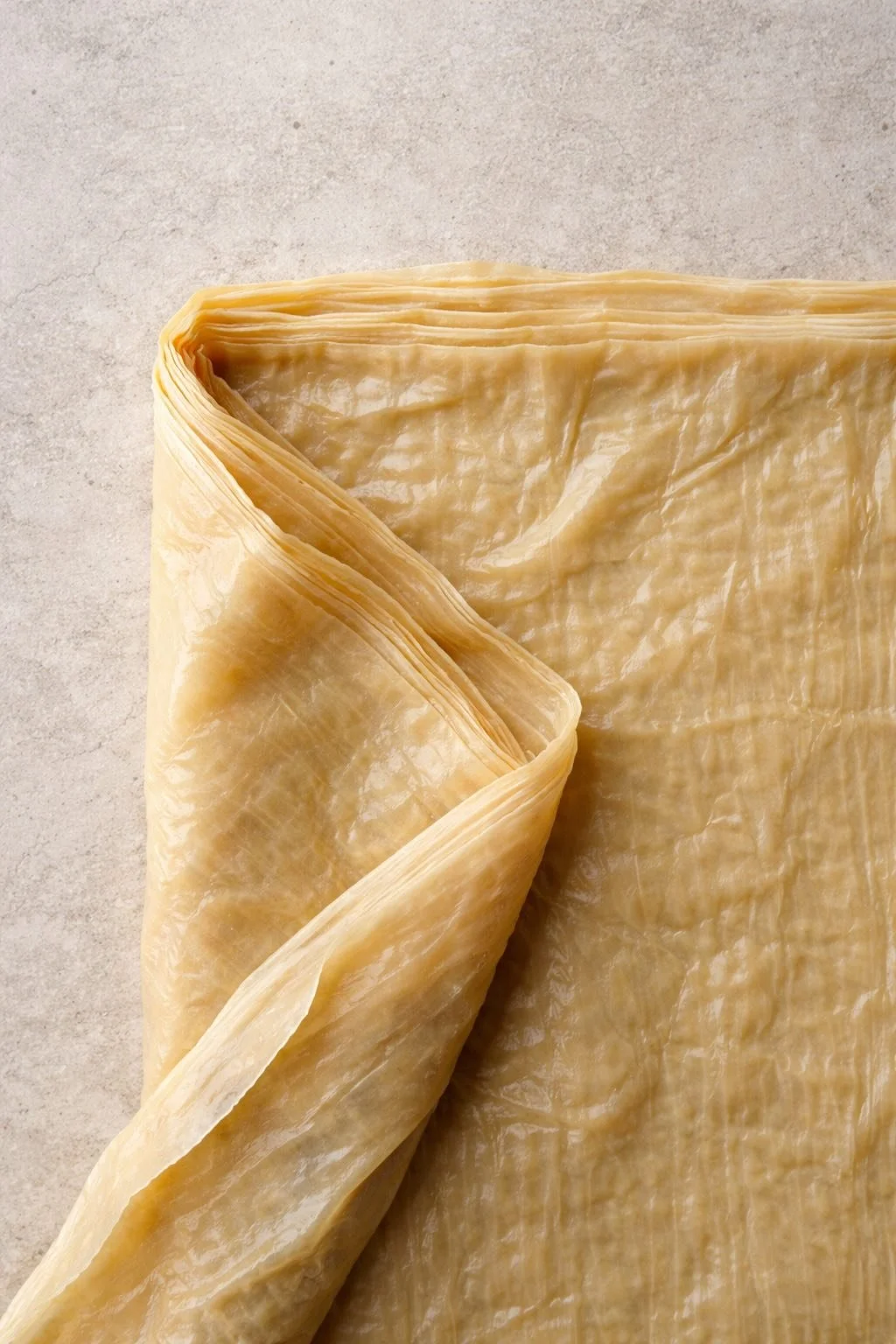 Fragile to Flavourful: Tofu Skin (Yuba) in Modern Cuisine