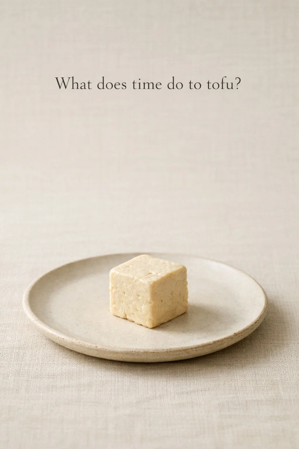 Fermented Tofu: Rich Taste and Wellness for Your Table