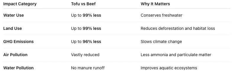 Why Tofu Is a More Sustainable Protein