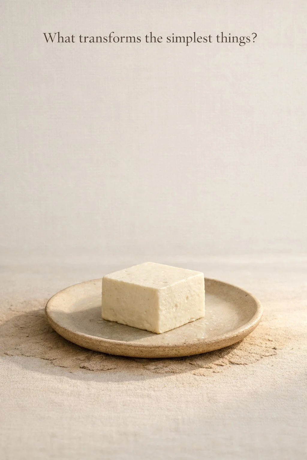 Minimalist illustration showing tofu shaped by earth, water, fire, air, and time