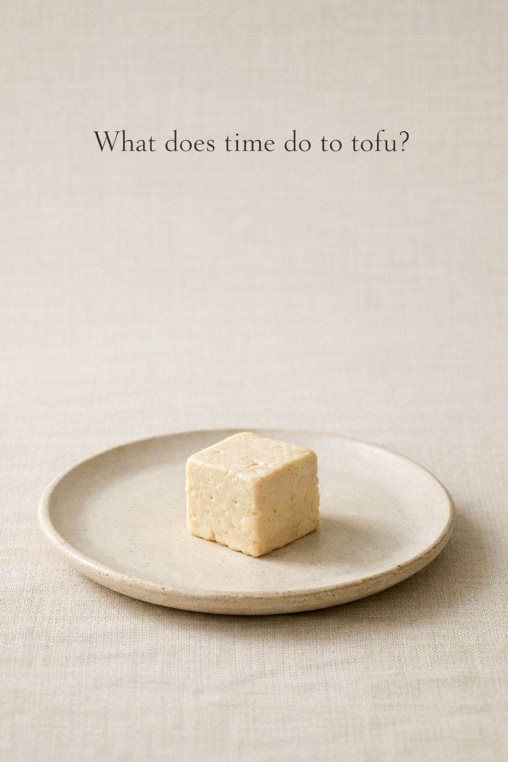 Minimalist illustration of a single cube of fermented tofu, highlighting subtle texture changes caused by fermentation.