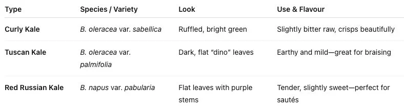 Kale Varieties Comparison Table