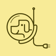 Click Here For More Info on Plaid Dog