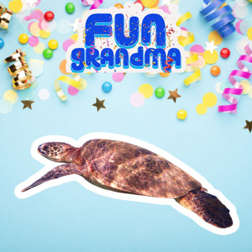 Maui, Mindset and More! Links to all the things in        S2 Ep #11