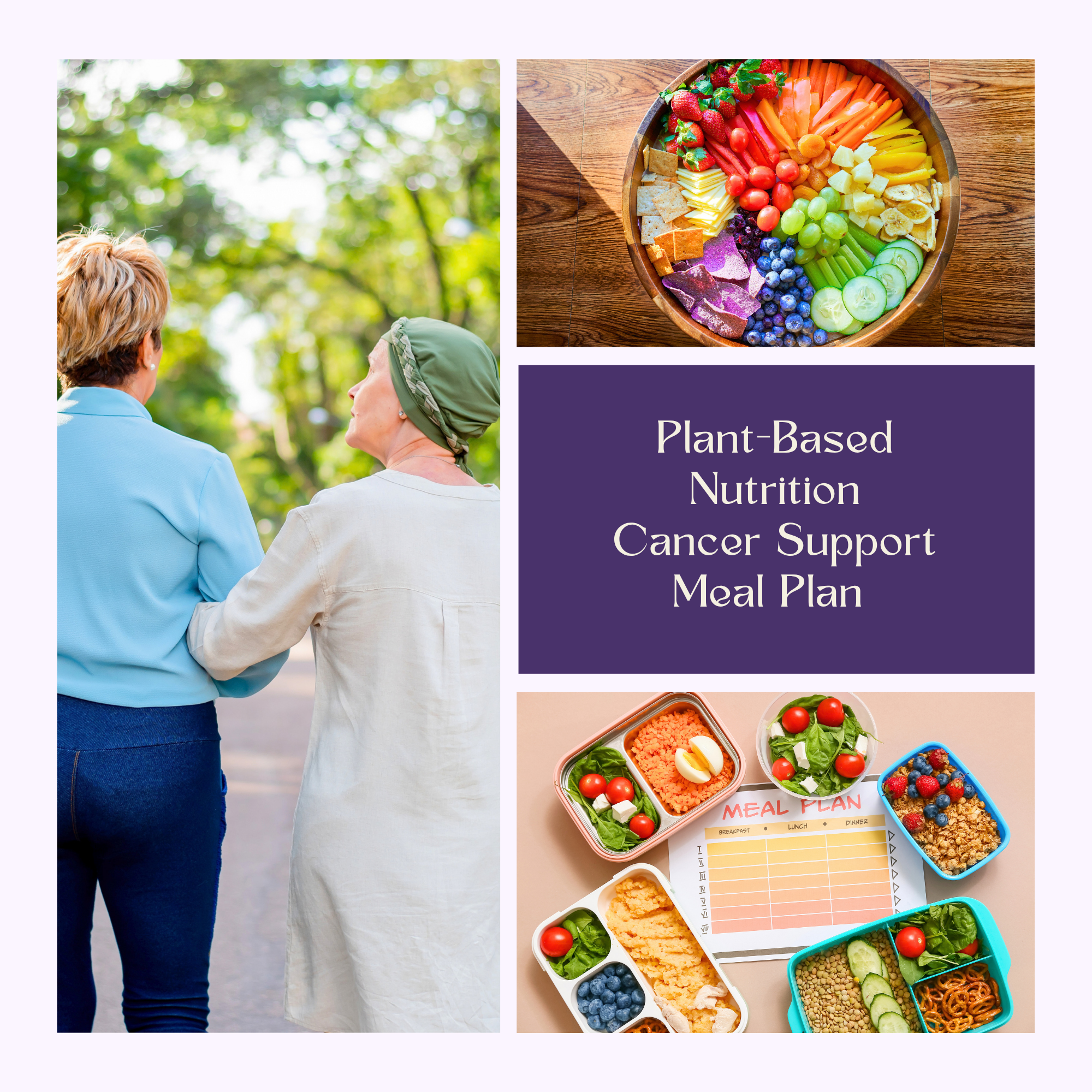Cancer Support Plan.png