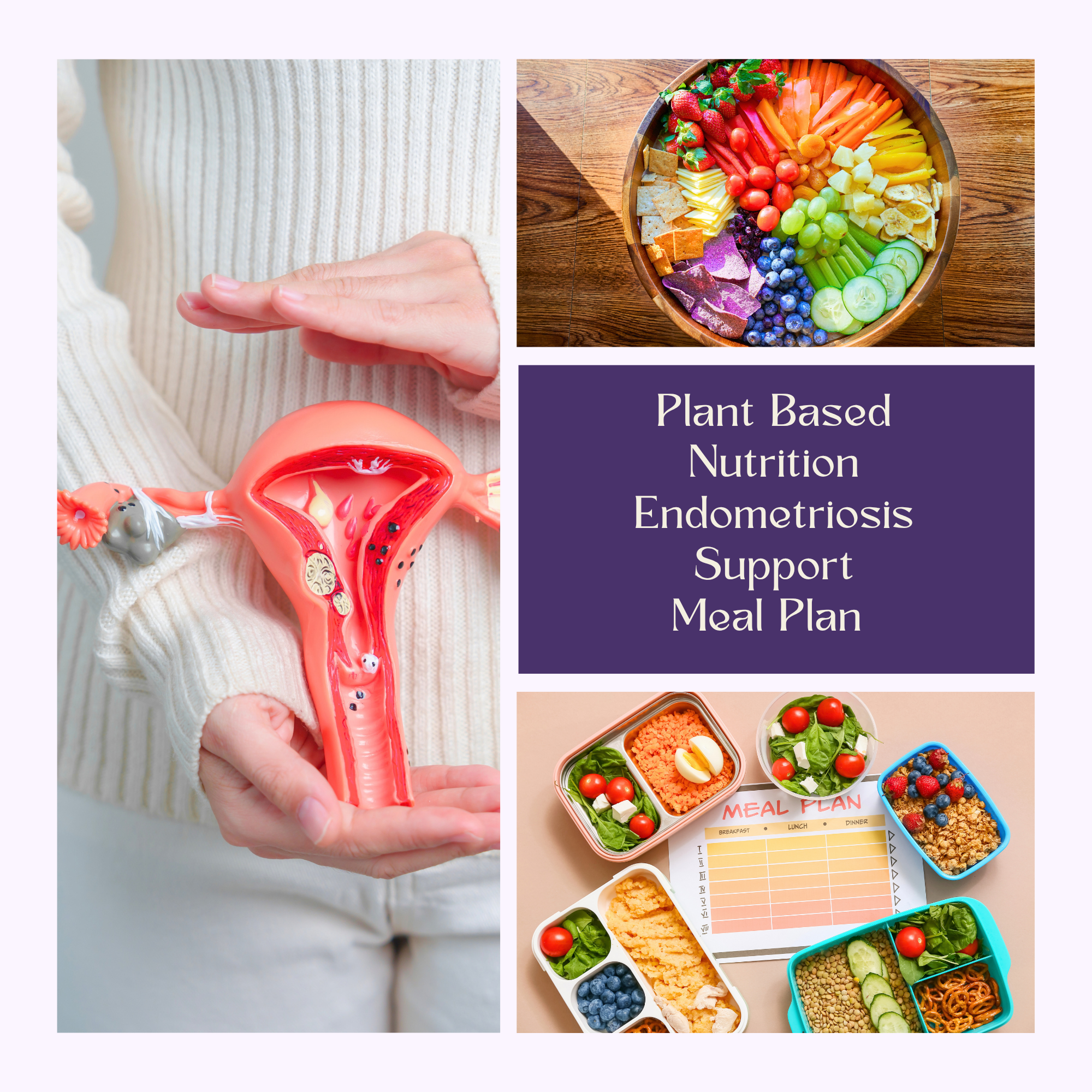 Endometriosis Support .png
