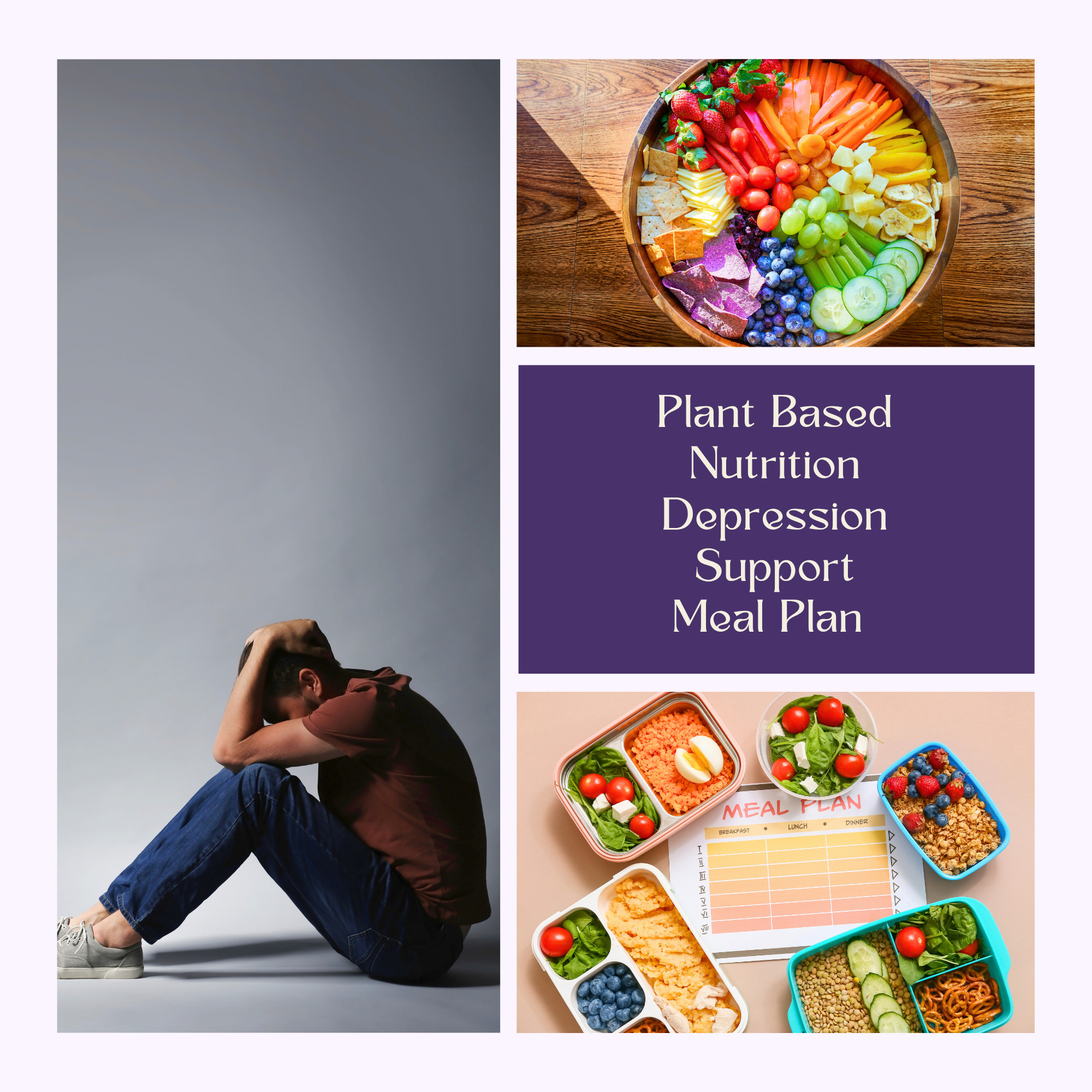 Depression Support Plan.png