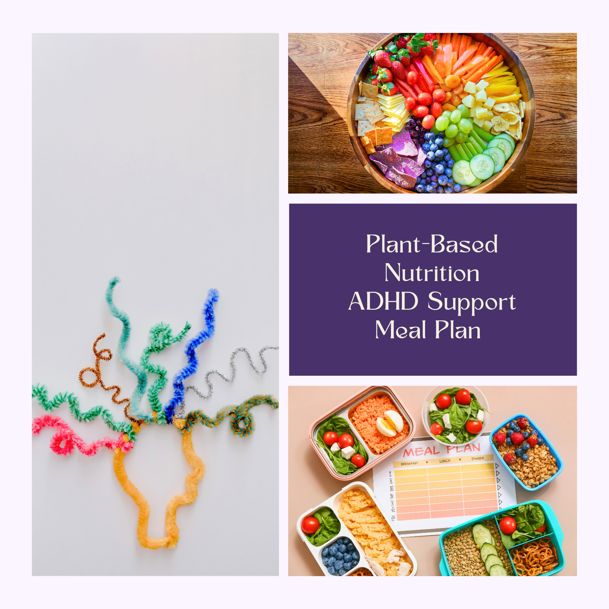 ADHD Support Plan (1).png
