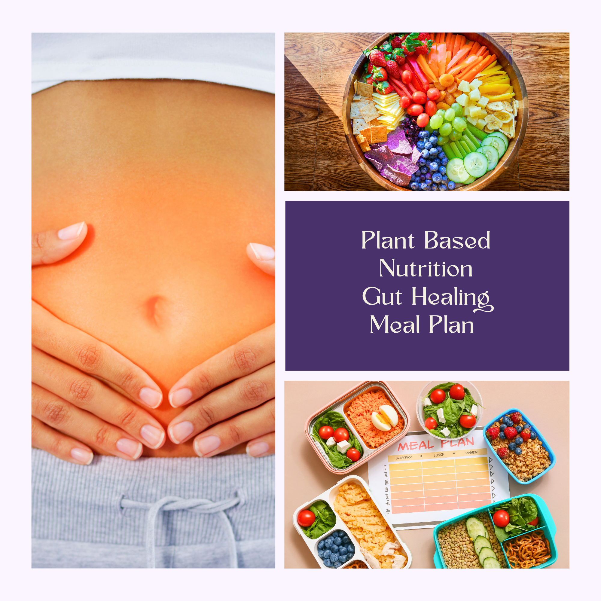 Gut Healing Support Plan.png