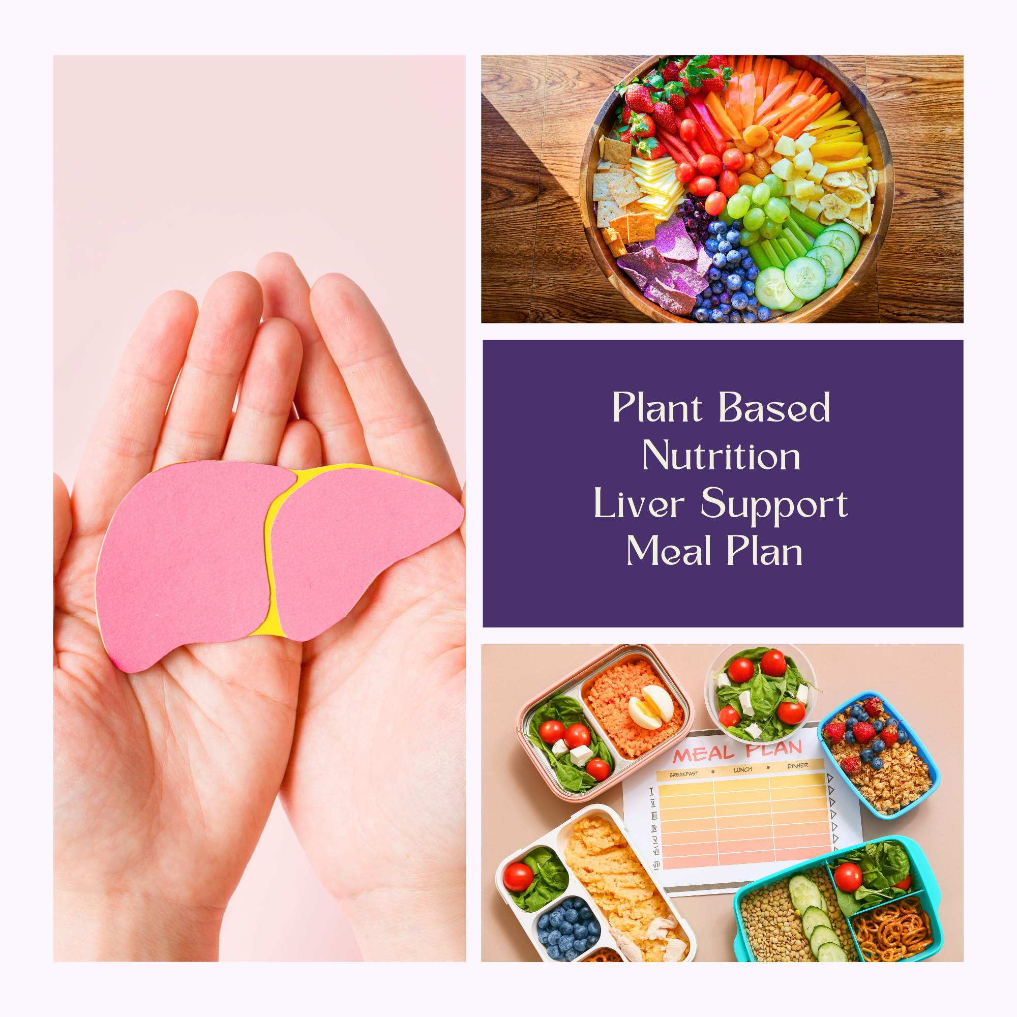 Liver Support Plan.png
