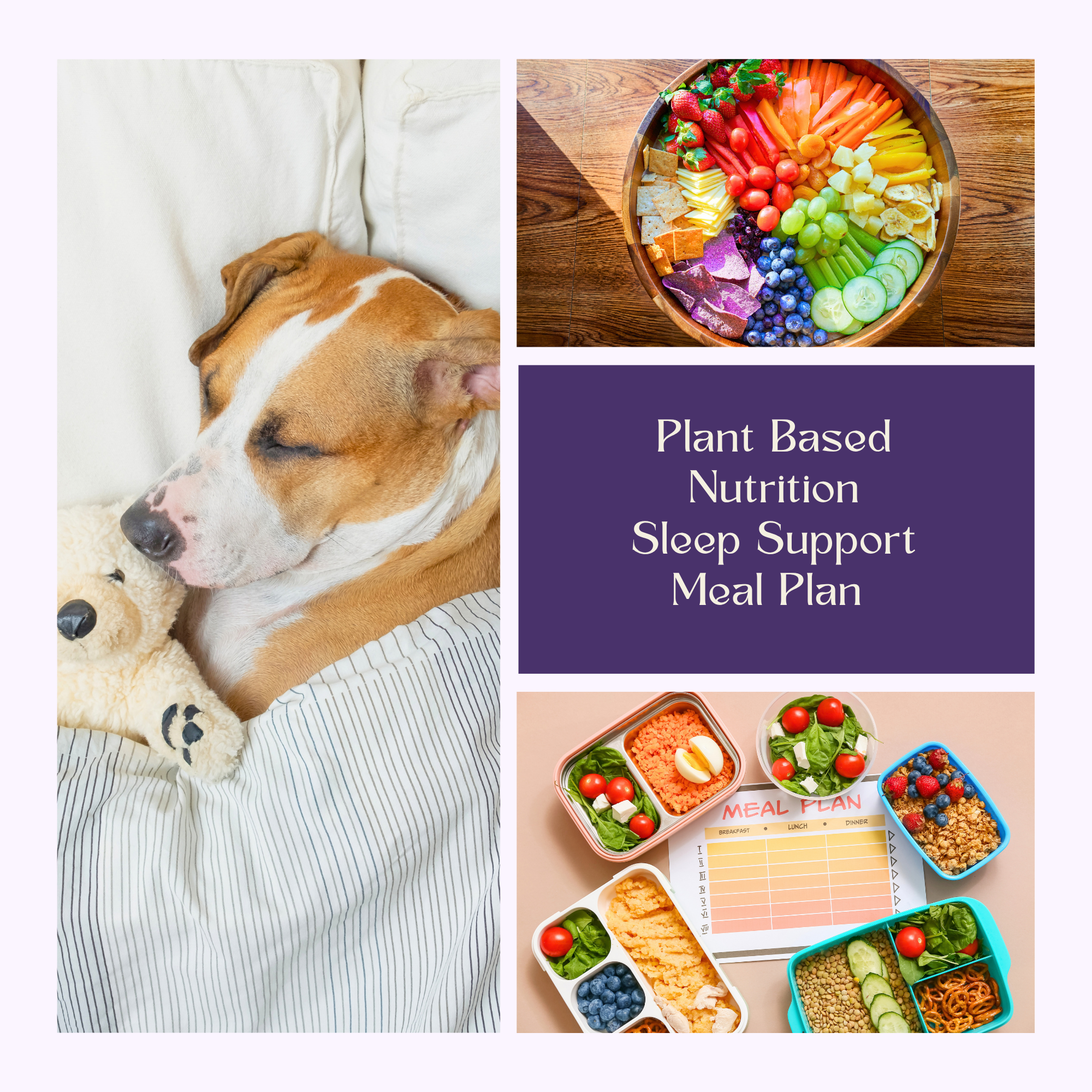 Sleep Support Plan.png