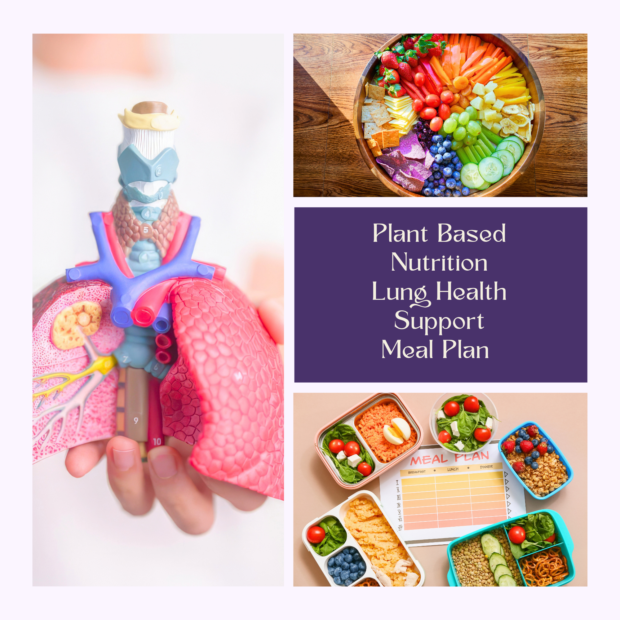 Lung Health Support.png