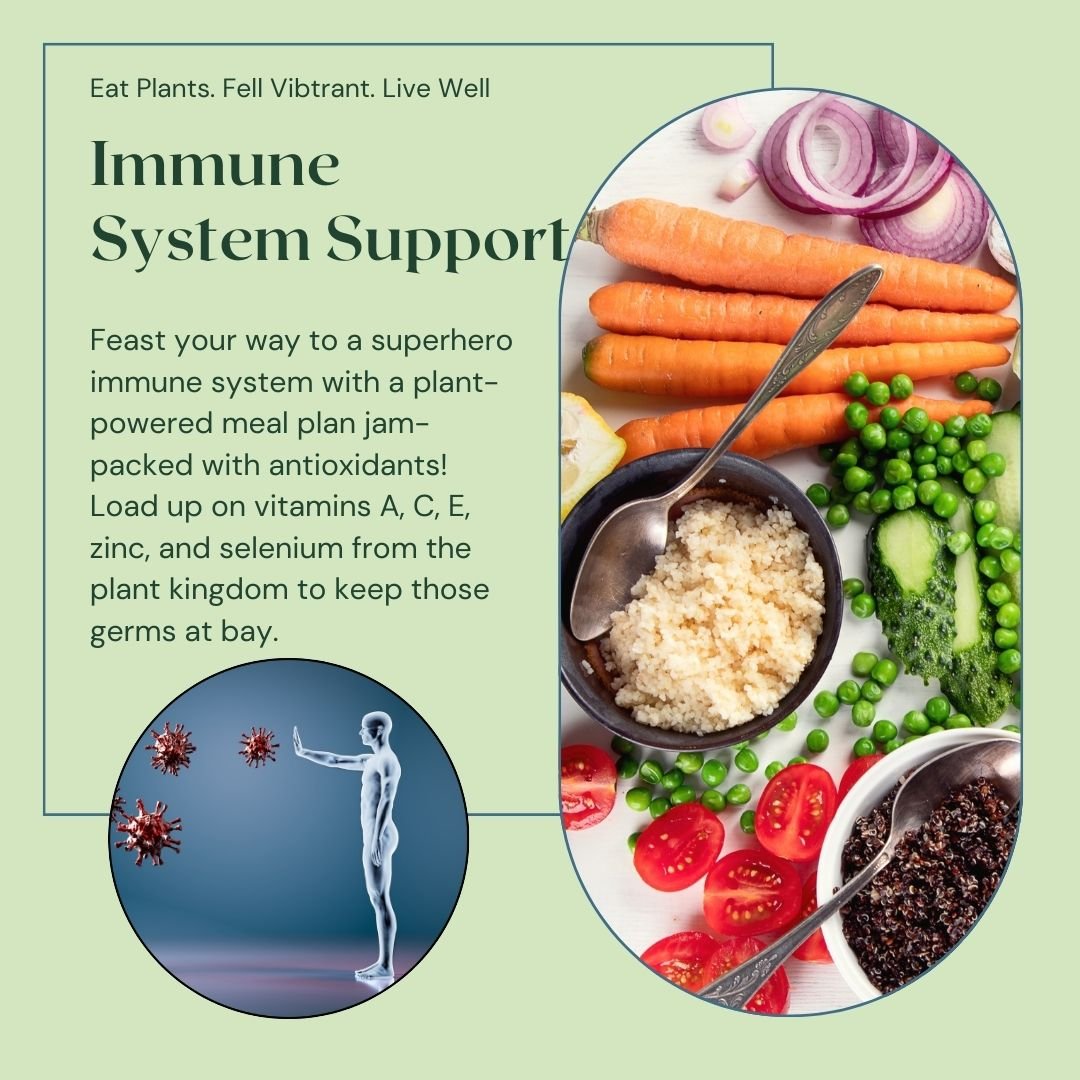 Immune System Support Plant Based Diet
