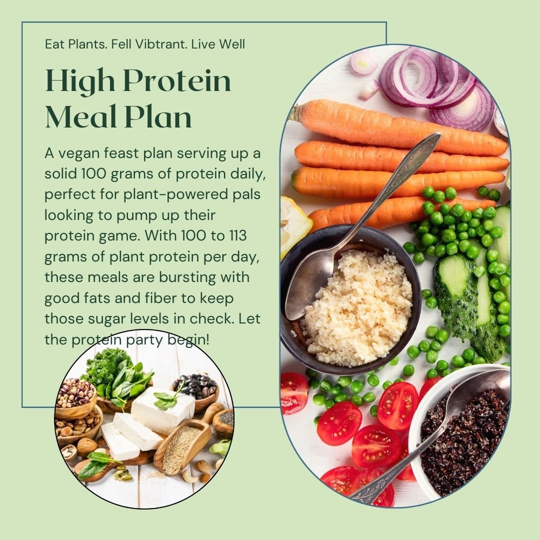 High Protein Plant Based Meal Plan