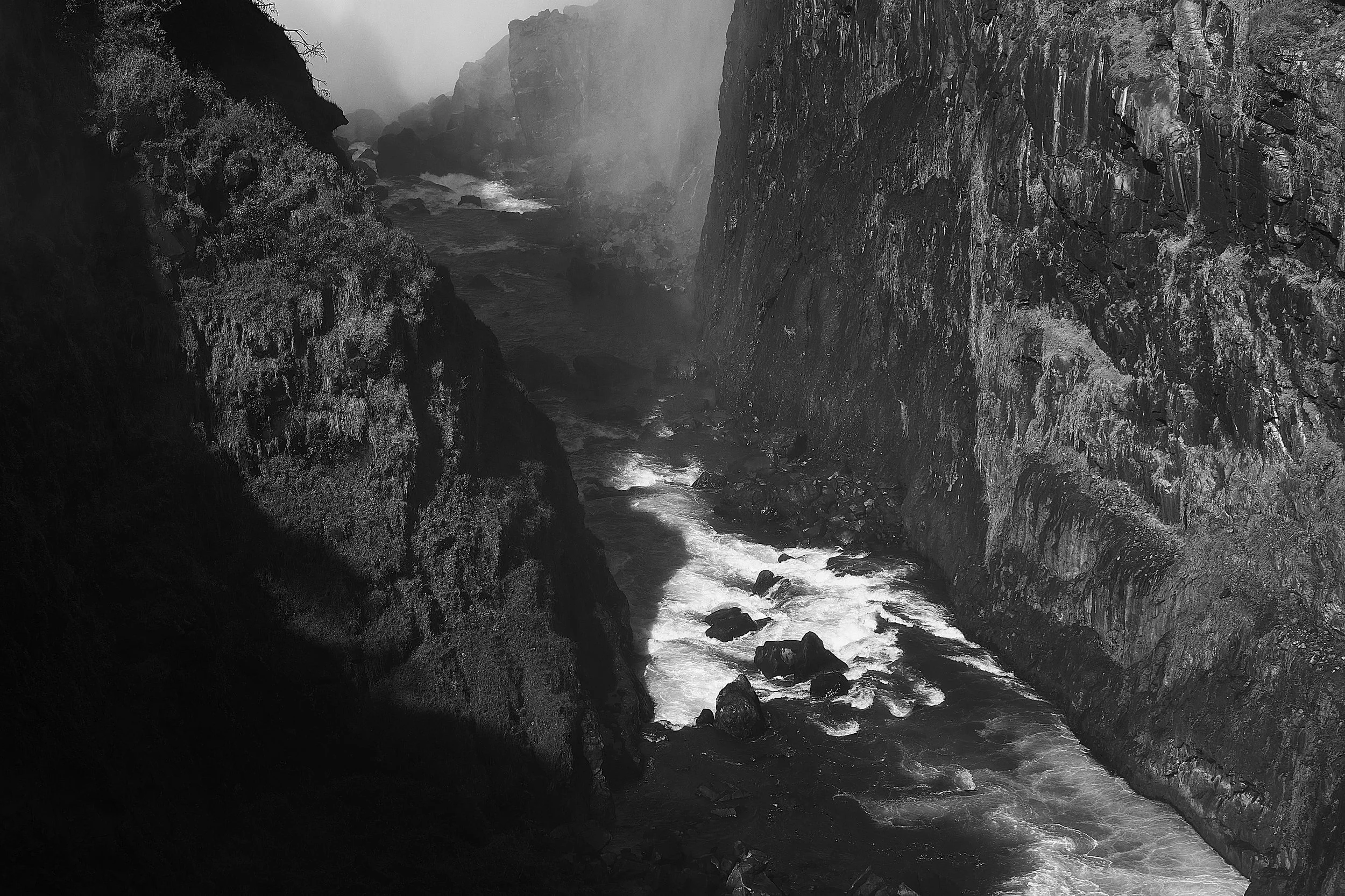 L1020935.jpg