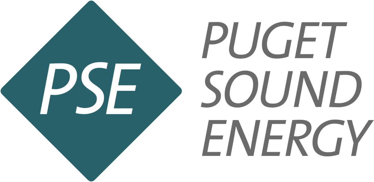 PSE Puget Sound Sound Energy logo with a blue diamond and gray text, in the context of working with Dog Leg automotive Media