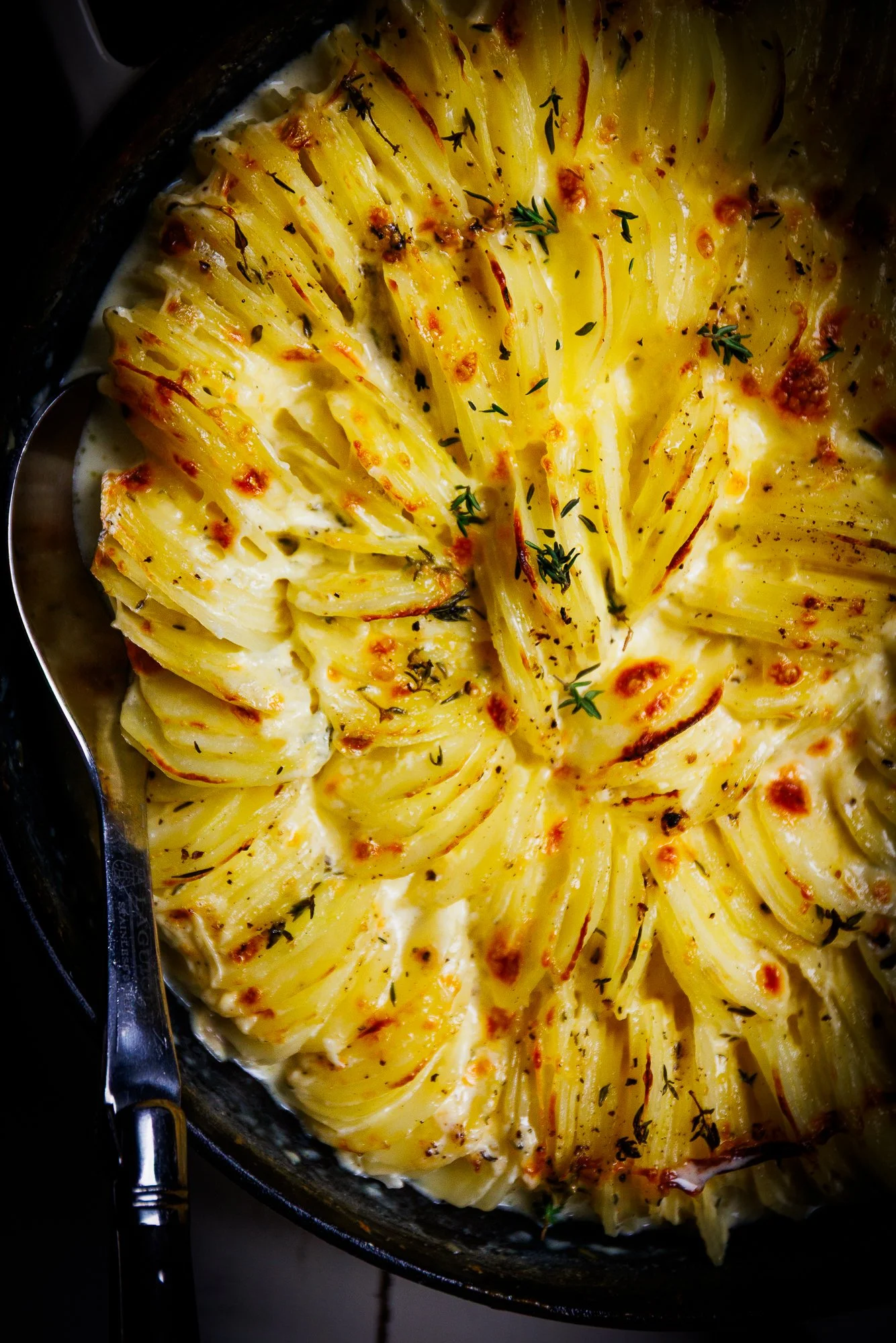 dauphinoise copy.jpg