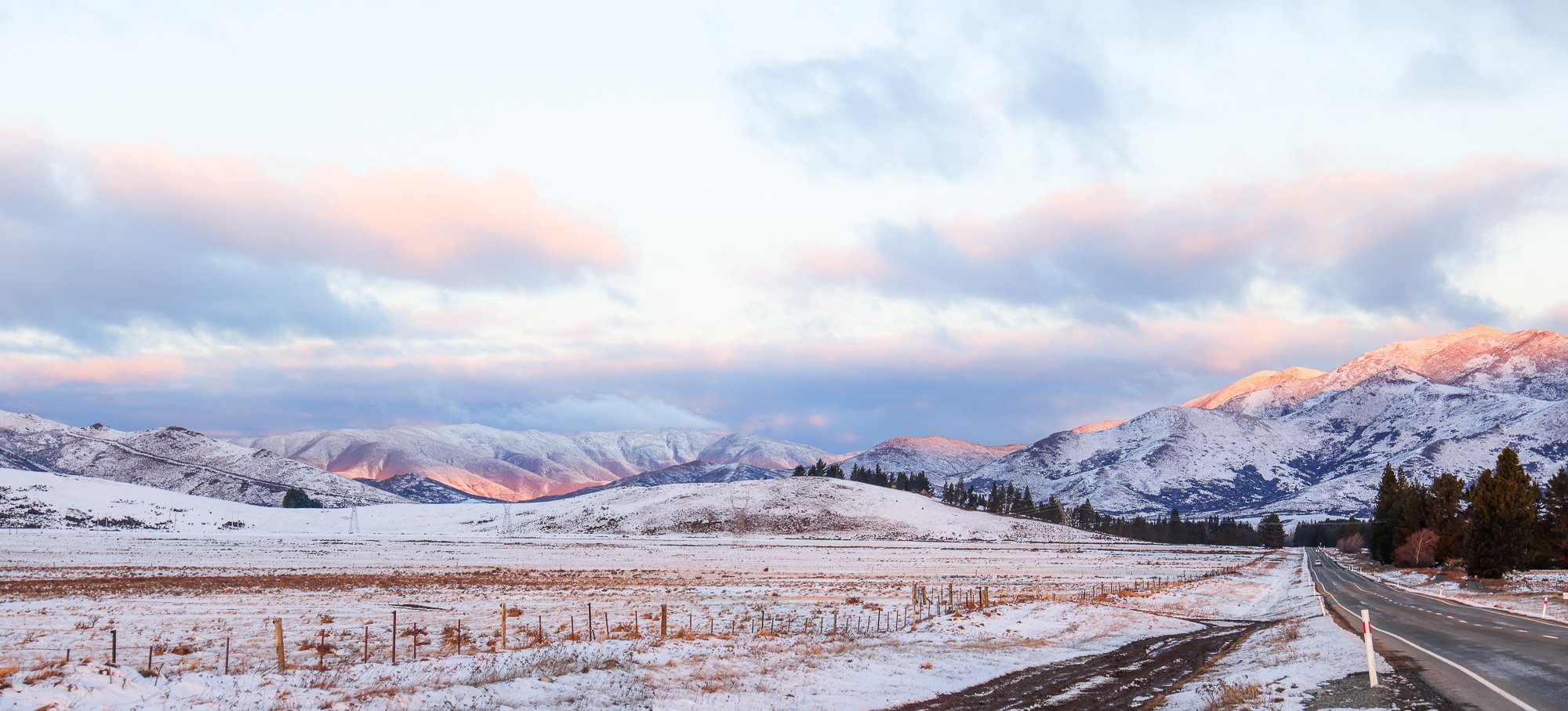 nature for web-11.jpg