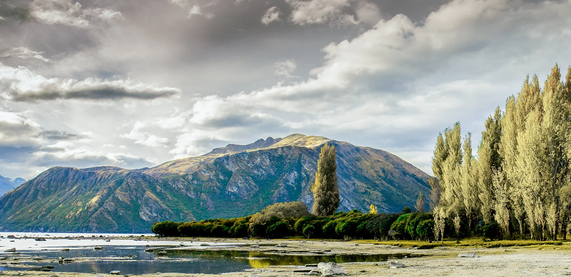 nature for web-01.jpg