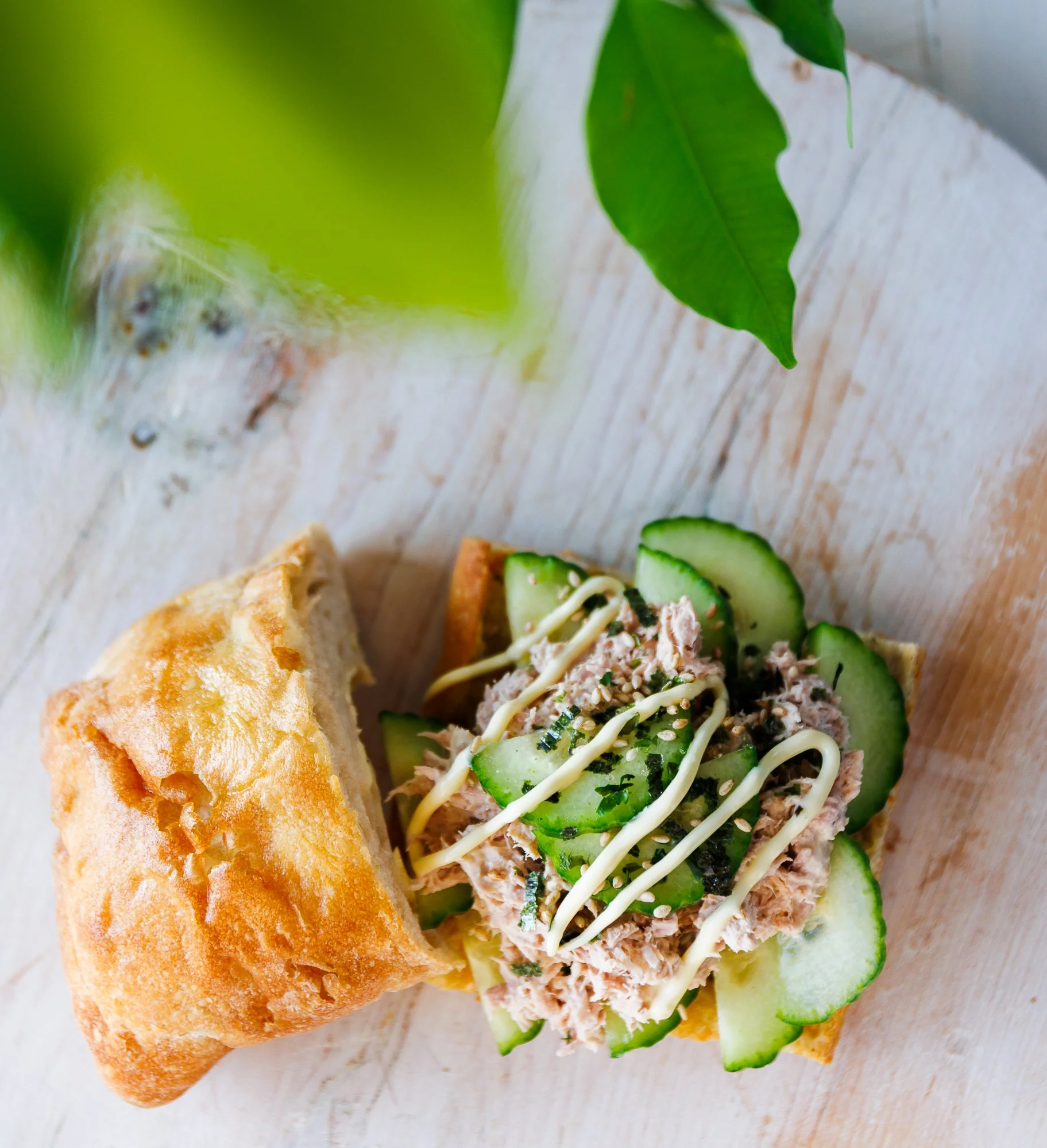 tuna cucumber mayo on ciabatta-4.jpg
