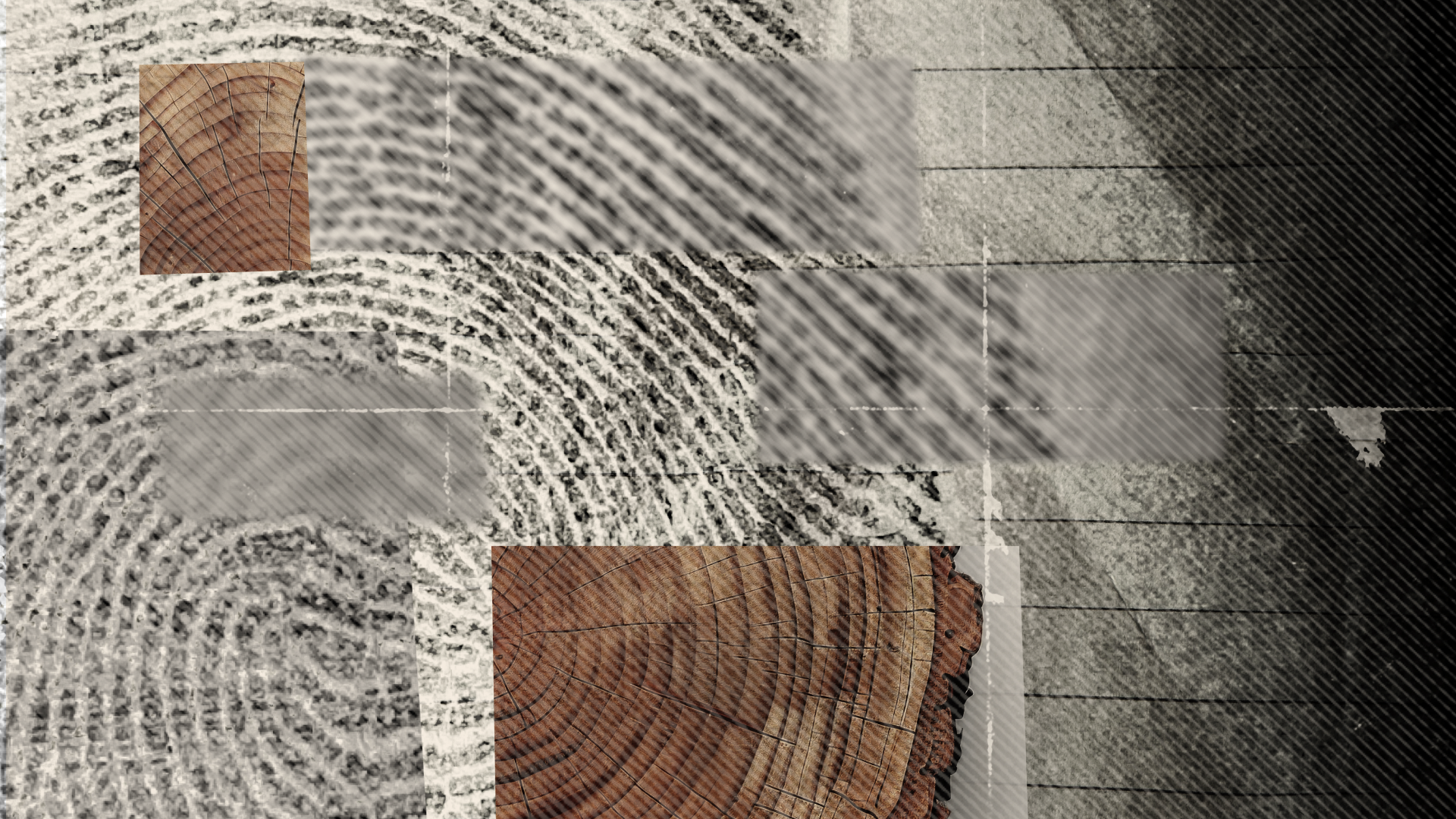 hmcmahon_thumbprint.png