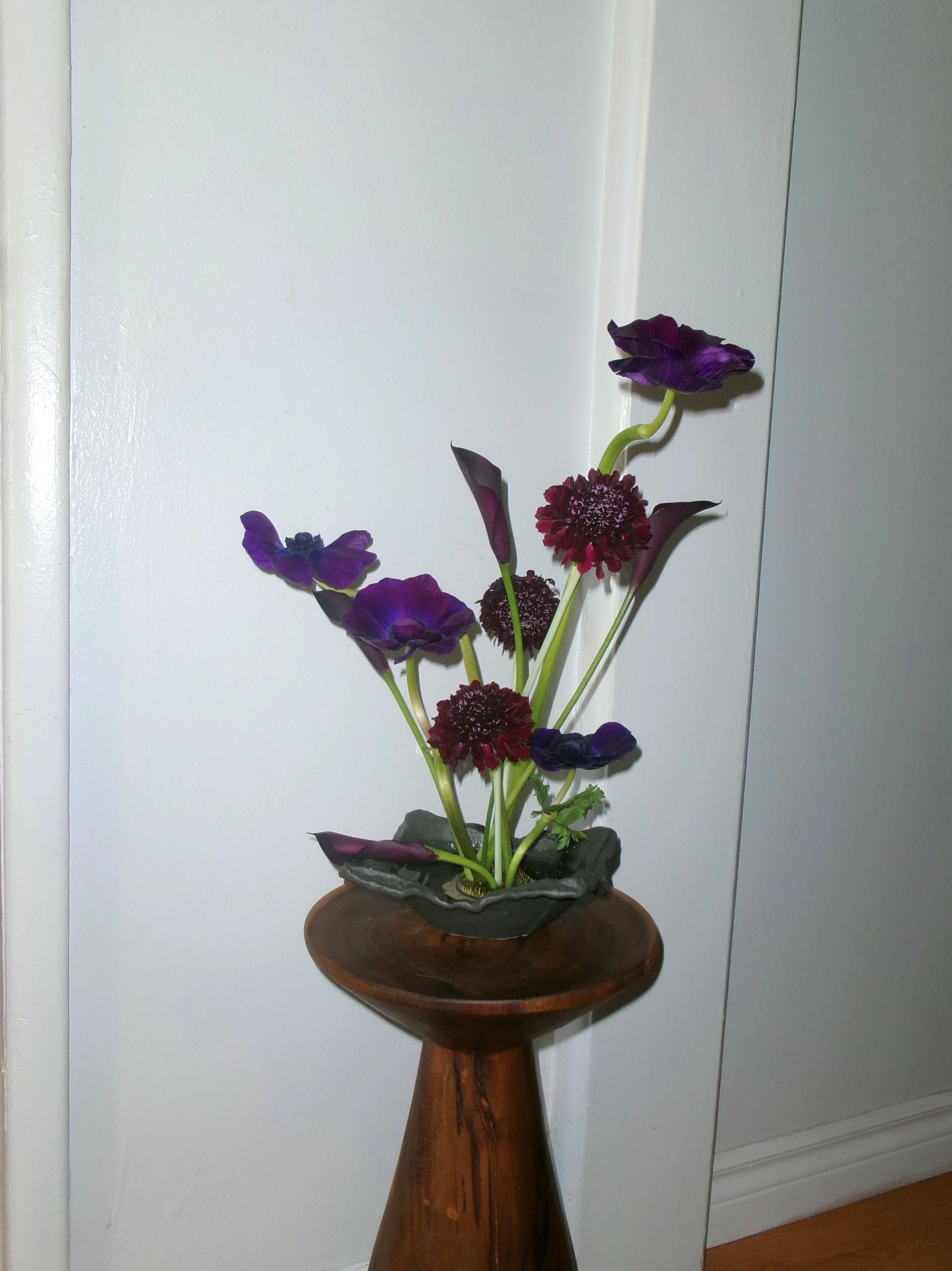 IMG_8759.JPG