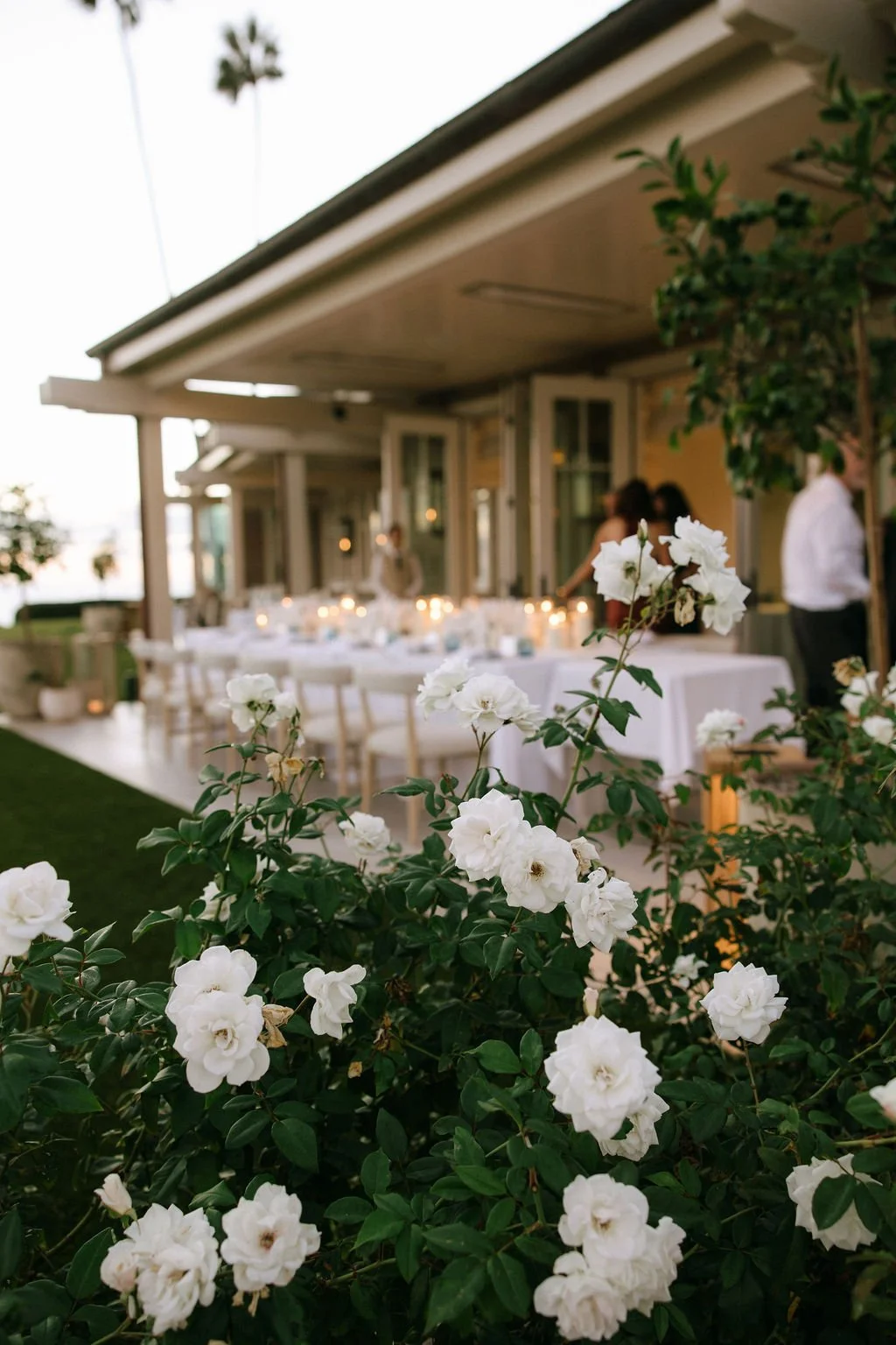MontageLagunaBeachWeddingSidneyandBrett01084.jpg