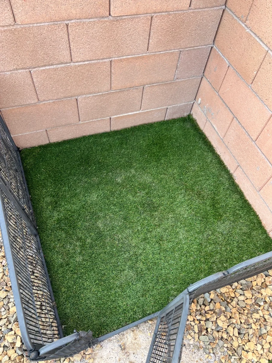 Same turf dog area clean after service
