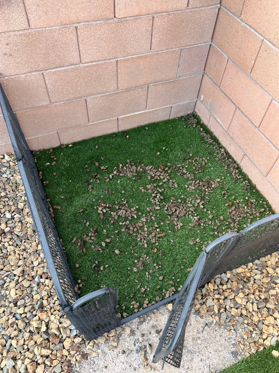 Turf dog area covered in pet waste before service