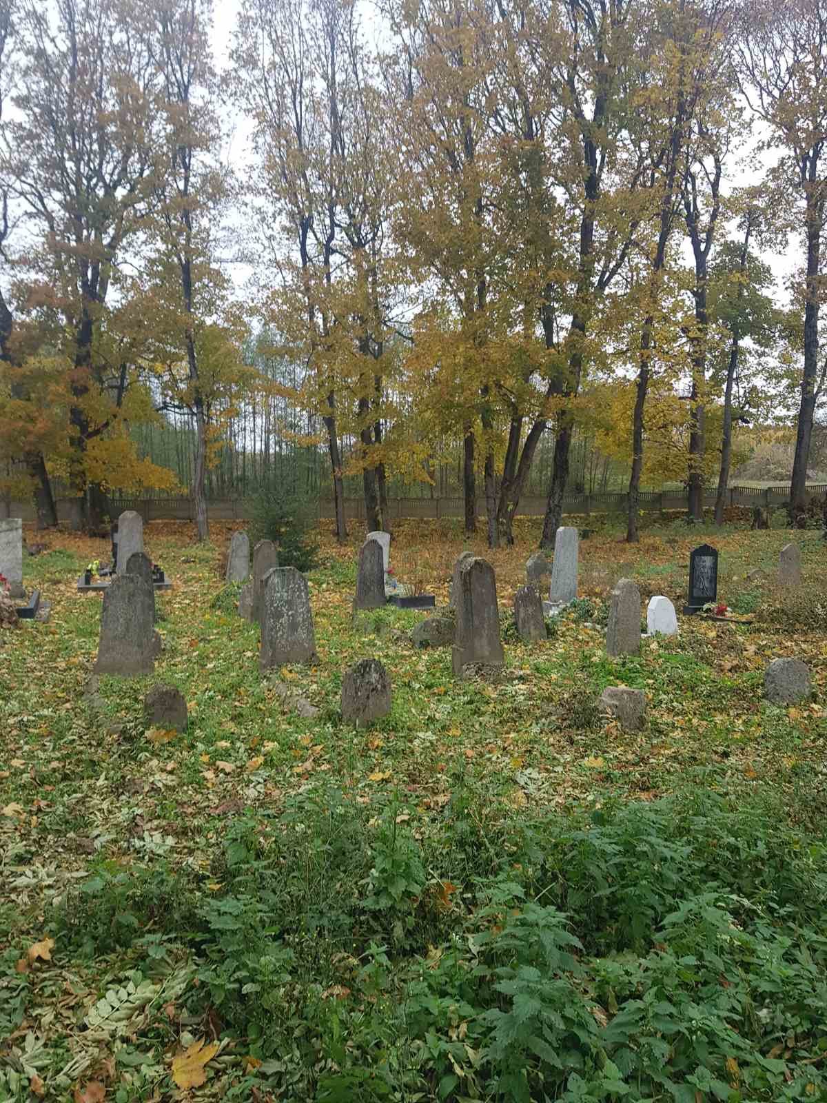 WhatsApp Image 2025-02-09 at 11.14.27 (1).jpeg