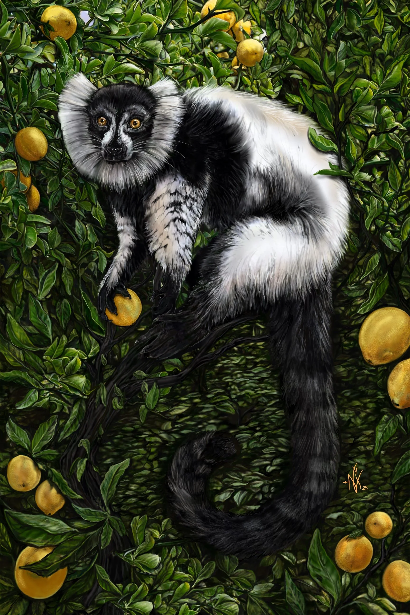 Untitled_Artwork 342.jpg