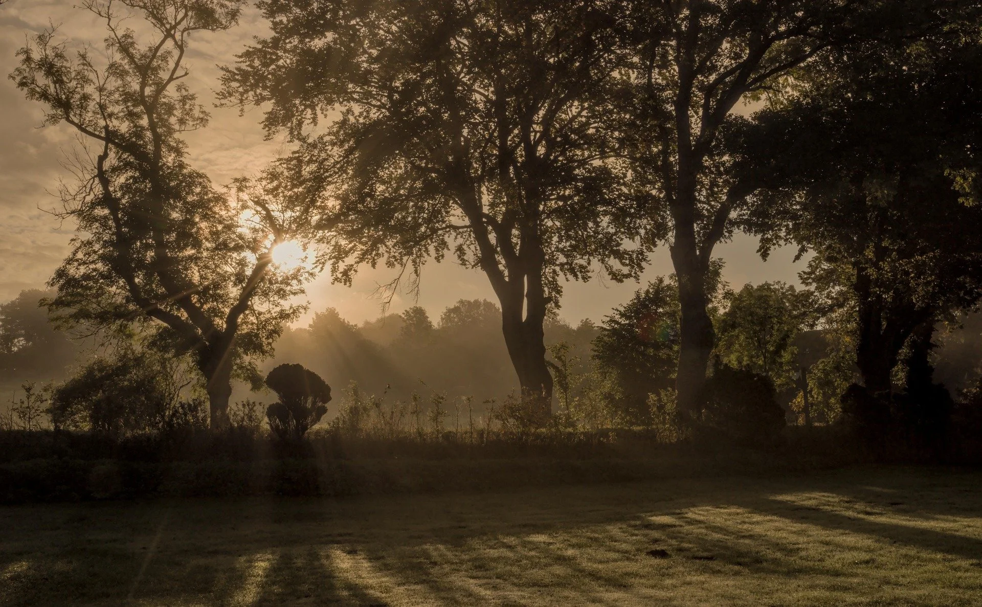 Shifting gears at the end of the Holiday season