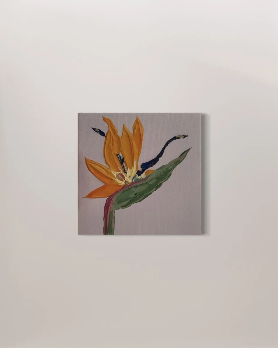 Bird of Paradise