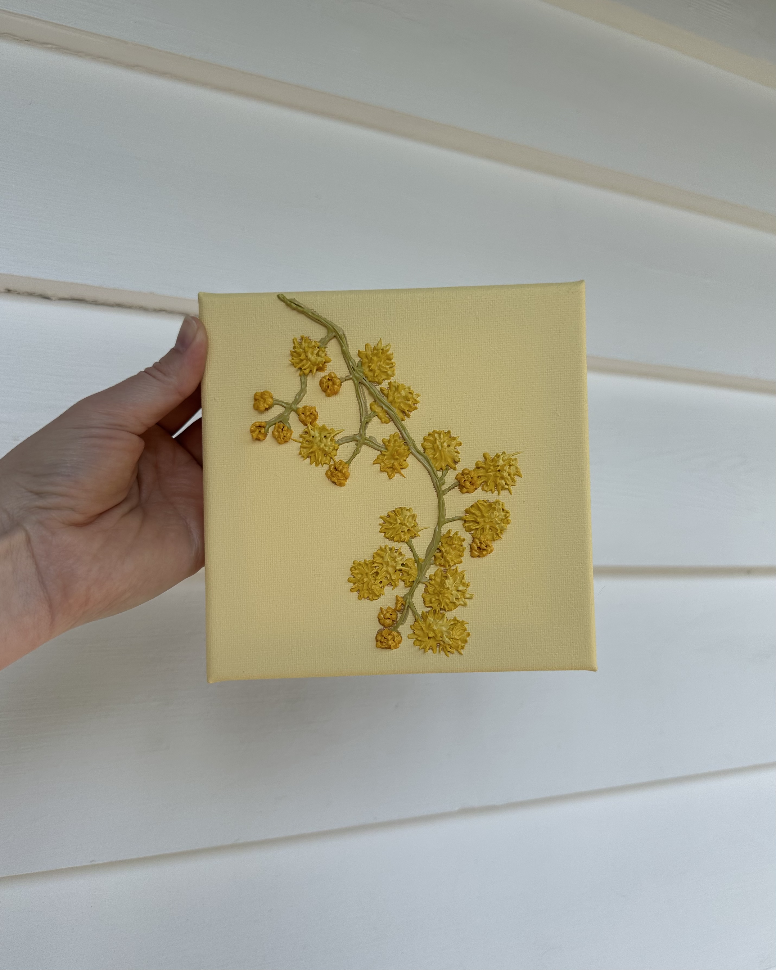 wattle front.png
