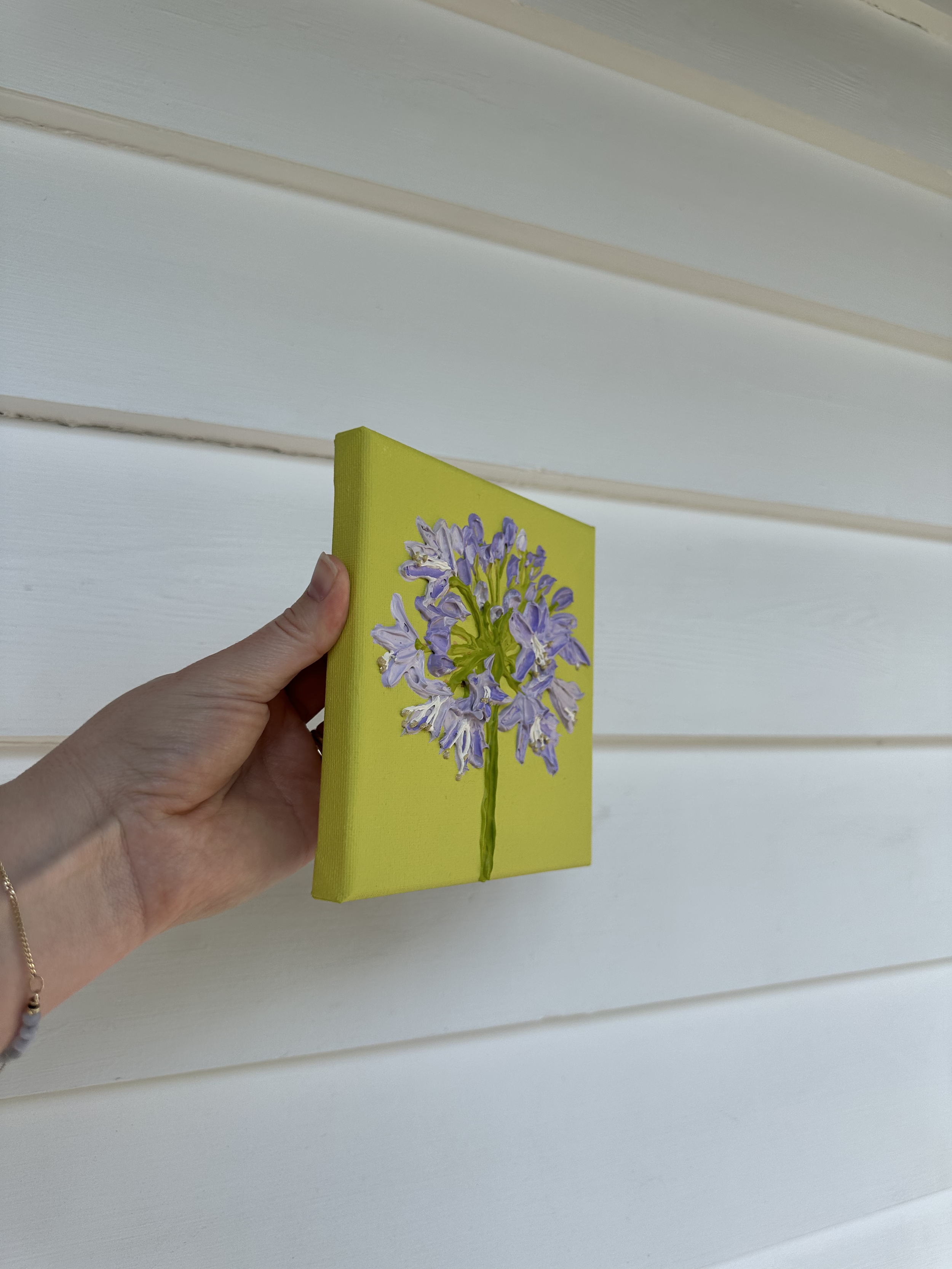 Agapanthus side.png