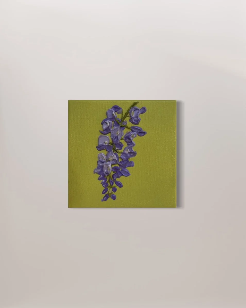 Wisteria