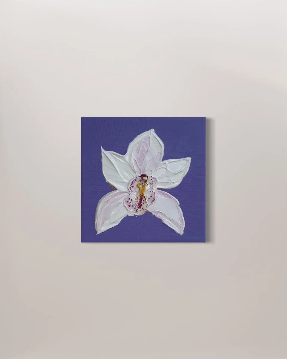 Cymbidium Orchid