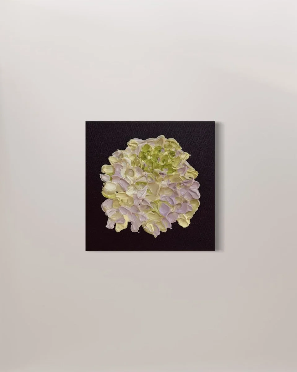 Hydrangea