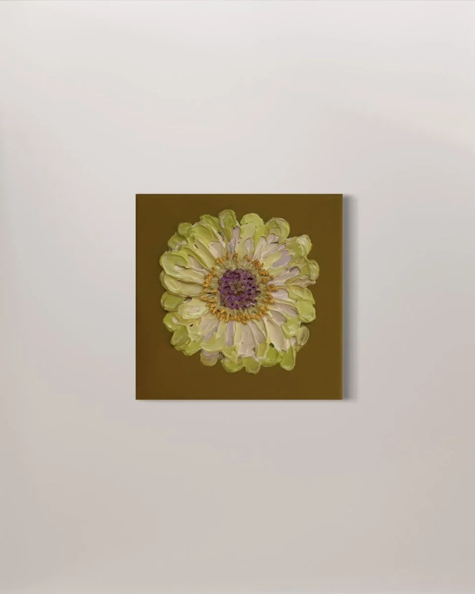 Zinnia