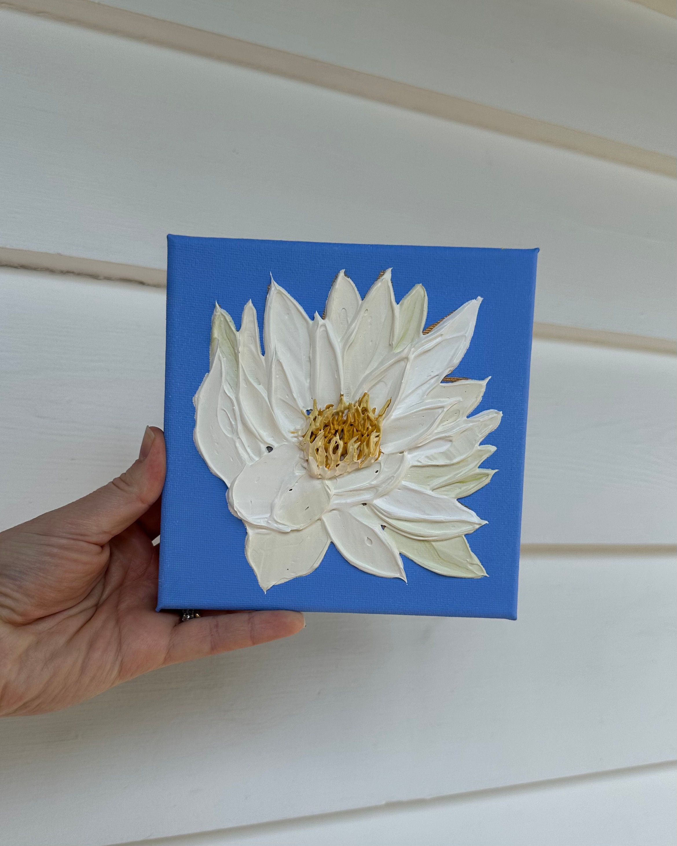 Waterlily 2.PNG