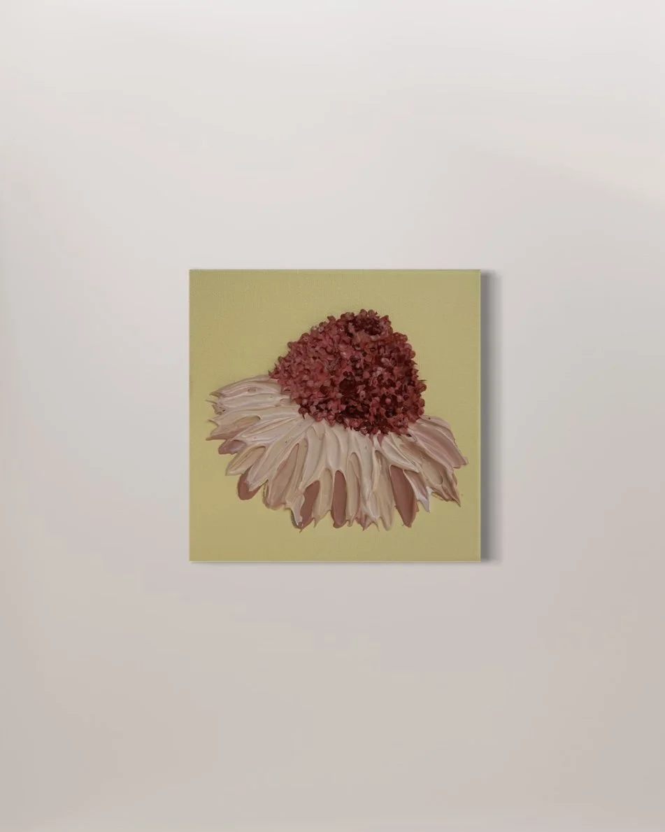 Coneflower