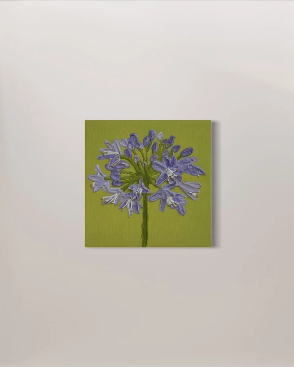 Agapanthus