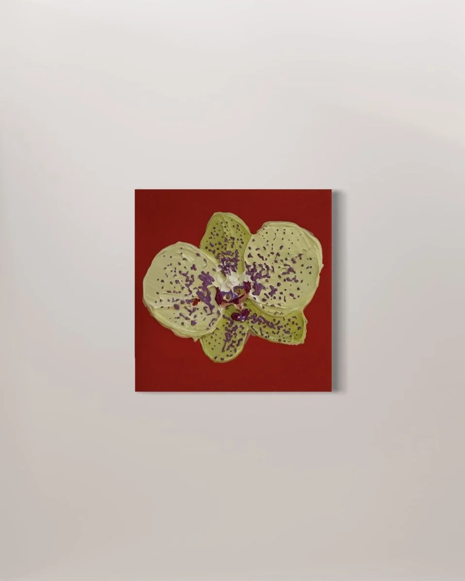 Orchid 1