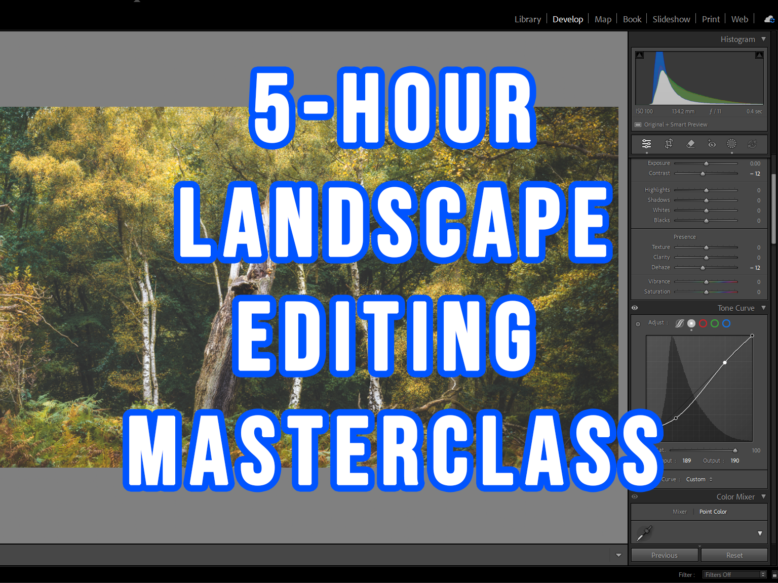 Landscape Editing Masterclass - 5hrs