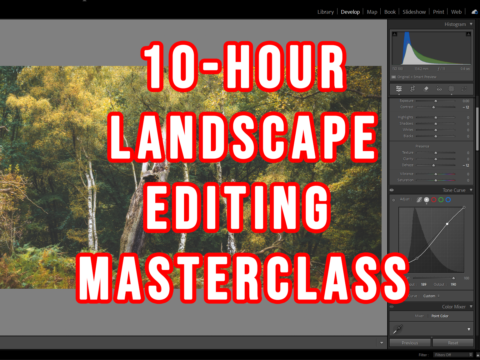 Landscape Editing Masterclass - 10hrs