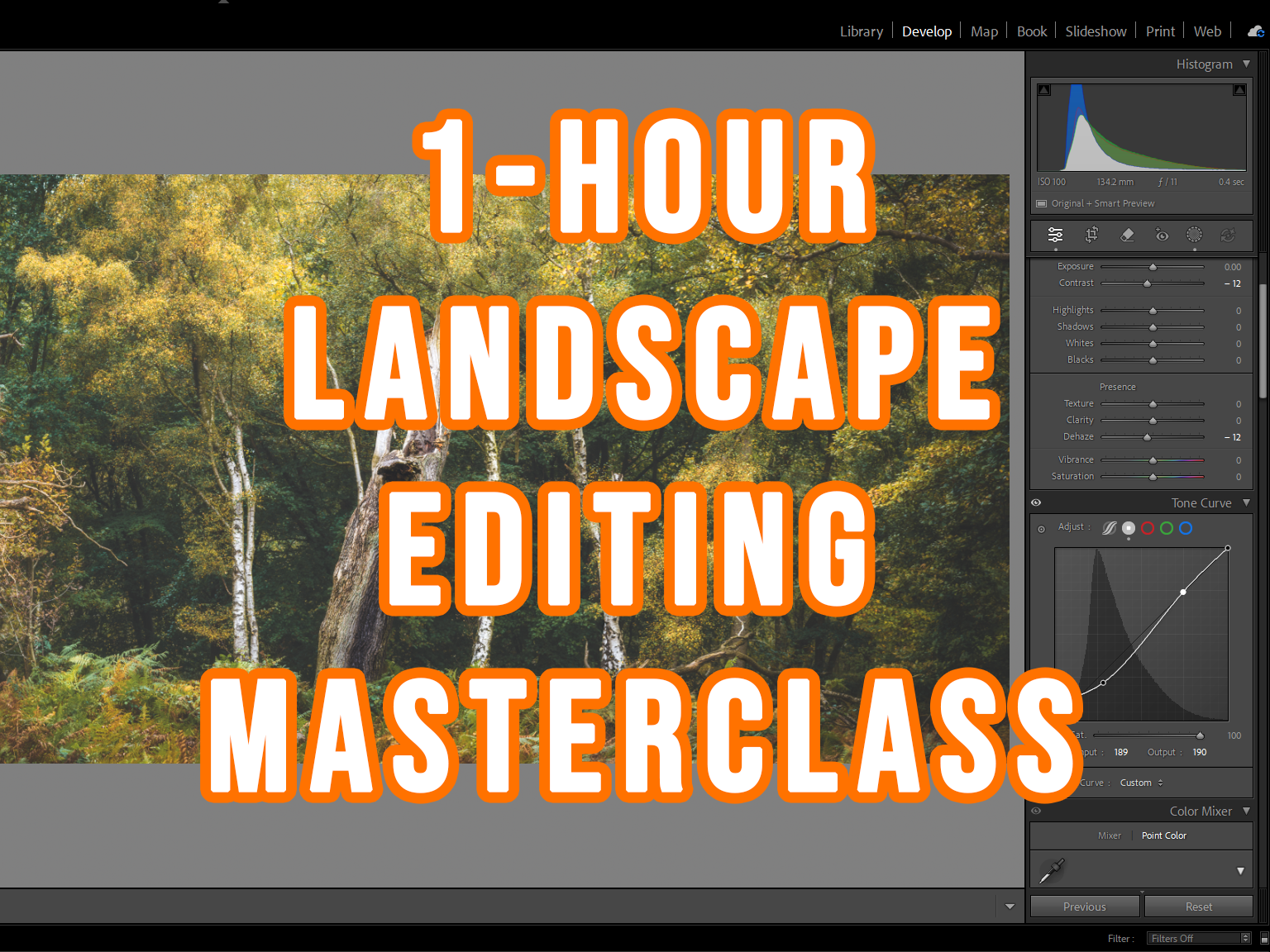 Landscape Editing Masterclass - 1hr